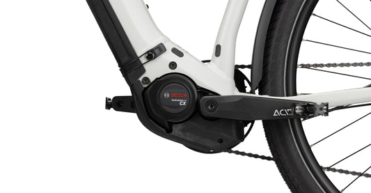 Radon RELATE 8.0 Lady 625